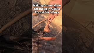 Cooking Dinner While Camping For 3 Days In Alaska Forest [upl. by Cobby985]