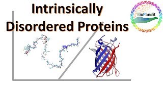 Intrinsically Disordered Proteins [upl. by Enytsirhc]