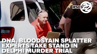 DNA blood stain splatter experts take stand in Delphi double murder trial [upl. by Herrick]