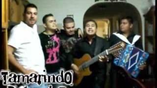 EL SR MAYO ZAMBADA ORIGINAL  ENIGMA NORTEÑO COMPOSICION ORIGINAL [upl. by Xet415]