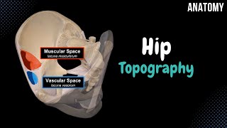 Topography of the Hip Foramina Canals Spaces Femoral Canal [upl. by Ruford]