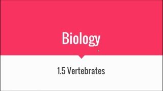 15 Vertebrates quotIGCSE Biologyquot [upl. by Haran]