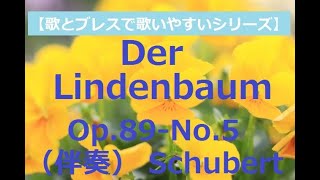 Der Lindenbaum Op89No5 D911 Schubert（菩提樹 ）伴奏《ドイツ歌曲》Winterreise [upl. by Ahsehyt636]