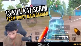 13 KILL KAT SCRIM  TEAM VOKEY MAIN BARBAR [upl. by Eblehs]