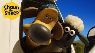 Shaun the Sheep🐑 Cant Teach a Sheep to drive  Cartoons for Kids 🐑 Full Compilation 1 hour [upl. by Hoj]