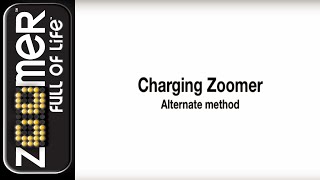 Zoomer  Alternate Charging Method Troubleshooting [upl. by Bork]