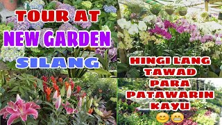 NEW GARDEN SHOPS SILANG TARA BUY TAYU PLANTS amp ORCHIDS NEW SILANG GARDEN TOUR 2020 ❤Mama Karen [upl. by Zusman]