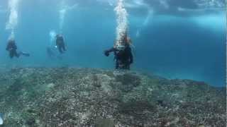 Diving Bali  Nusa Penida [upl. by Brunn]