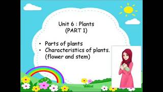 Year 1 PlantsPart 1 Parts Of Plants amp Characteristics Of Plants [upl. by Friedlander]