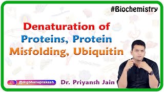 Denaturation Of Proteins Protein Misfolding Ubiquitin  Medical Biochemistry [upl. by Enerol]