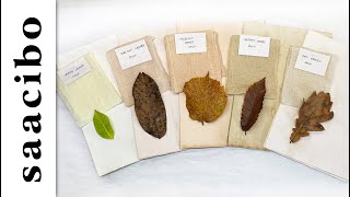 How To Dye Your Papers With Autumn Leaves naturaldyeing [upl. by Chaker]