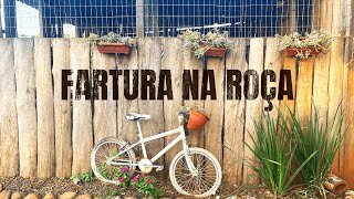 NOSSA FARTURA ALEGRIA  IDEIAS ECOPONTO  GALINHAS OVOS diy diydecoração [upl. by Trauner409]