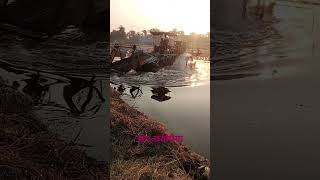 Kopikopi chhath gana YouTube short video 🙏🙏 [upl. by Anyala126]