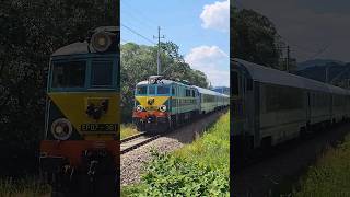 ep07361 przez maków Podhalański do Zakopanego pkp train viral [upl. by Novanod2]