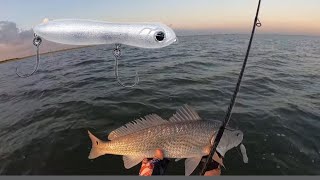 Topwater catches BIG Redfish and Trout Galveston Texas [upl. by Josephine]