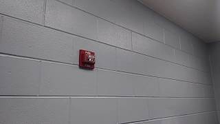 Siemens UMCS Fire Alarm Strobe Flashing [upl. by Laenej606]