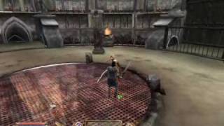 Elder Scrolls IVOblivion Deadly Reflex Mod [upl. by Wendeline989]