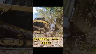 Mulching trees Cat299 shortsvideo mulching landclearing [upl. by Sy]