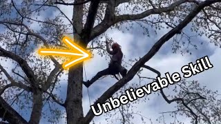 Tree Climbing Championship2023 ISA Southern Chapter Highlights [upl. by Etteyafal]