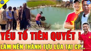 🔴Team Quang Linh Vlogs THU HÚT HÀNG LOẠT LÃNH ĐẠO TỚI THAM QUAN LÚA TẠI NÔNG TRẠI BẢN LÀNG CHÂU PHI [upl. by Ydne]