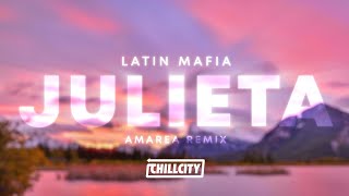 Latin Mafia  Julieta Amarea Remix [upl. by Barlow]