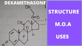 Mechanism of action of dexamethasone  uses of dexamethasone  dexamethasone medicinal chemistry [upl. by Jerad]