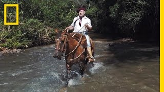 Horses and Solitude Inside the Life of a Brazilian Gaúcho  Short Film Showcase [upl. by Melinde10]