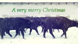 Merry Christmas 2017  Buffalo Christmas [upl. by Ennaylime]