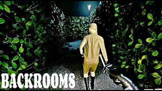 The Backrooms  Exploring Level 84  Hedge Maze  Backrooms Society [upl. by Nitsew]