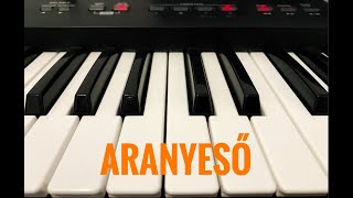 Aranyeső KARAOKE  Roland BK3 [upl. by Haidebez]