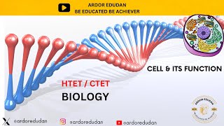 CELL amp ITS FUNCTION  BIOLOGY  CLASS  1  HTET PGT BIOLOGY  CTET LEVEL  3  BIO FOR NET EXAM [upl. by Adilem]