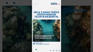 GEGARA Ikan Buntal Ibu dan 2 Anak di Maluku Tengah Tewas seusai Konsumsi Ikan Buatan Sang Suami [upl. by Lohrman967]