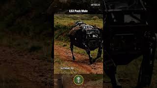 LS3 Pack Mule  US Military cargo robot [upl. by Ayyn]