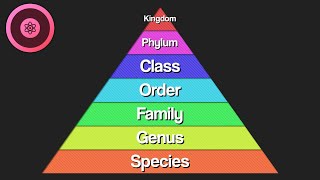 How Do We Classify Living Things  The Taxonomy Song  Orion Science [upl. by Ravaj]