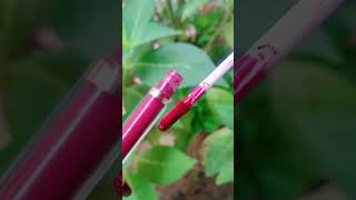 Myglam lipstick review 👀💄 chiconpoint makeup malayalam lipsticktutorial lipstick tamil shorts [upl. by Sirrad82]