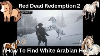 Red Dead Redemption 2 How To Find White Arabian Horse [upl. by Tenay]