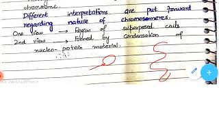 what are chromonema chromatids and chromomere  chap 5 botany c [upl. by Jody78]