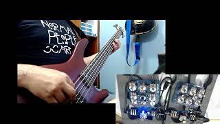 Bass Preamp Circuits Baja Ampeg SVT vs Sansamp VT Bass Kits Dapia [upl. by Keri908]