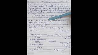 77 Hexose mono phosphate HMP Pathway  HMP shunt biology pharmacy chemistry science [upl. by Gazzo]