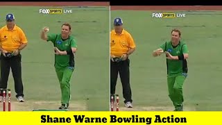 Shane Warne Bowling action [upl. by Oinotla]