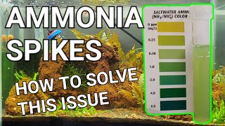 How To Fix An Ammonia Spike In Your Aquarium  Lowering Ammonia Levels In 3 EASY Steps [upl. by Yasibit]