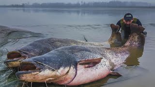 SILURI GIGANTI OVER 100 KG IN PESCA VERTICALE DINVERNO  HD by CATFISHING WORLD [upl. by Modnarb]