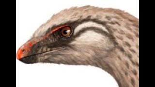 Lesothosaurus Fleet footed Ornithischian from Early Jurassic Southern Africa [upl. by Notgnilra]