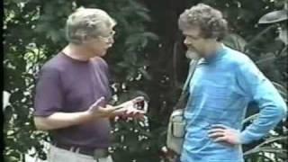 Prague Gnosis  Terence Mckenna talks to Kenneth Ring Pt 12 [upl. by Brottman277]