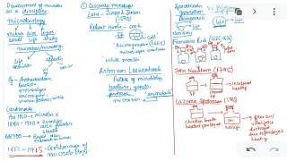 Spontaneous generation vs Biogenesis [upl. by Eulalia]