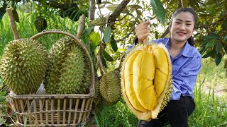 Durian fruit season  Have you ever harvested durian fruit and cooked   Countryside life TV [upl. by Yoc958]