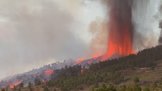 CANLI La Palma yanardağı bir haftadır devam ediyor [upl. by Giles506]