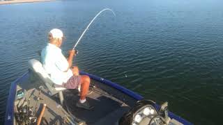 Double Rig Action On The White Perch [upl. by Wardieu]