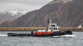 Harbor Tugs  Dutch Part 2 Ship Assist [upl. by Hacissej]