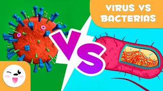 Virus vs bacterias  ¿Cuáles son sus diferencias [upl. by Jovitta710]